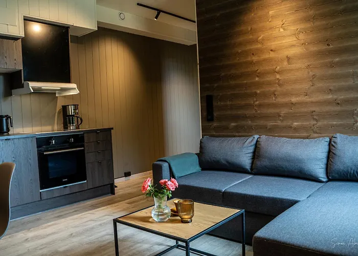 公寓 Alpan Apartments, Lyngenfjord *